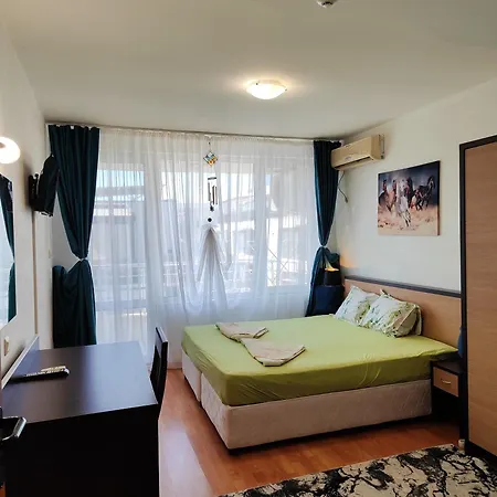 Nev 1 * 布尔加斯